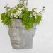 see more listings in the Face Planters section