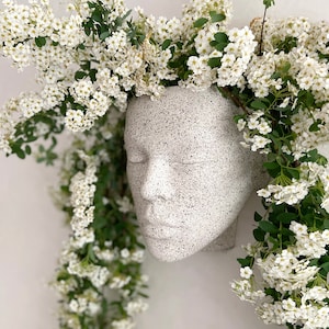 May include: A white ceramic planter shaped like a human face with white flowers cascading around it.