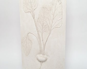 Tile beet cast. Botanical Decorative unique plaster wall art frame wood concrete impression Pressed Flowers eco friendly
