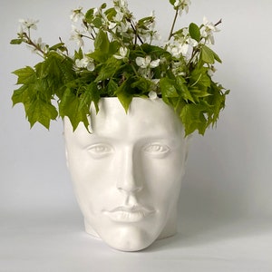 Head Planter male pot face wall hang  table vase Decorative unique plaster wall art concrete impression eco friendly male man men