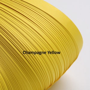 May include: A close-up of a roll of yellow paper, with the text "Champagne Yellow" printed on the paper.