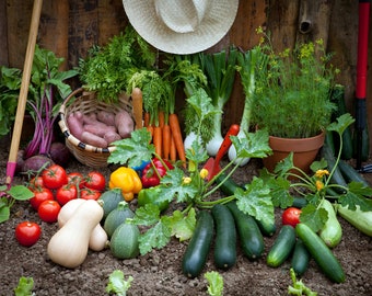 21 Varieties Vegetable Seed Kit Emergency Survival Garden- Best value!