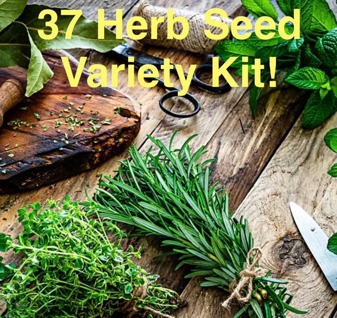 Ultimate 37 Herb Seed Variety Bundle Kit Garden Fresh Gift Collection ...