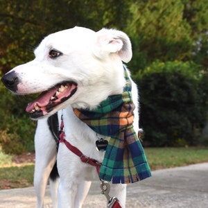 Dog Scarf