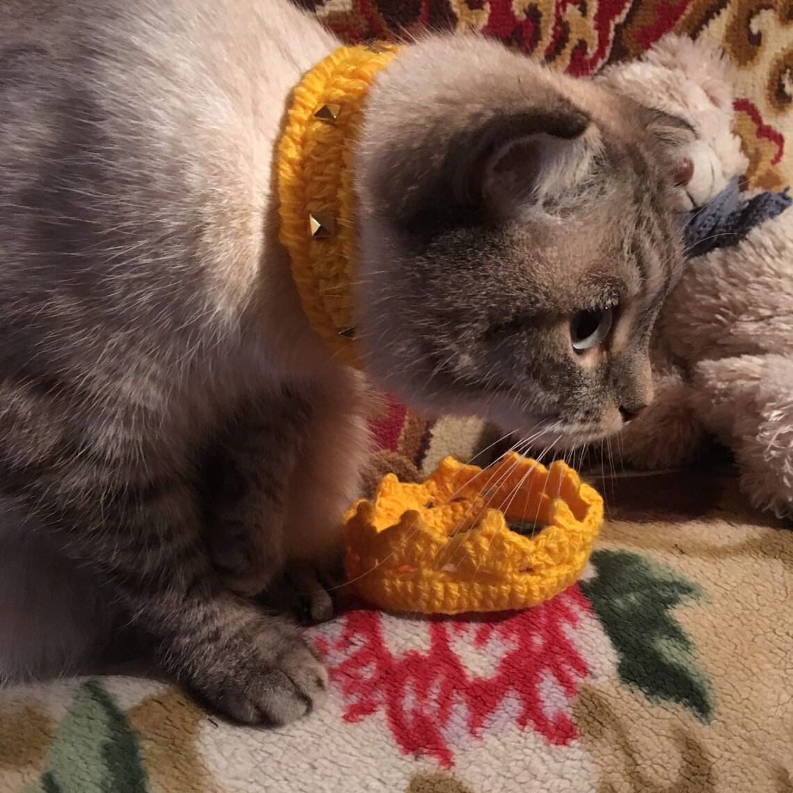 Spiked Cat Collar Collar Pet Gift Crochet Cat and Dog Collar Etsy