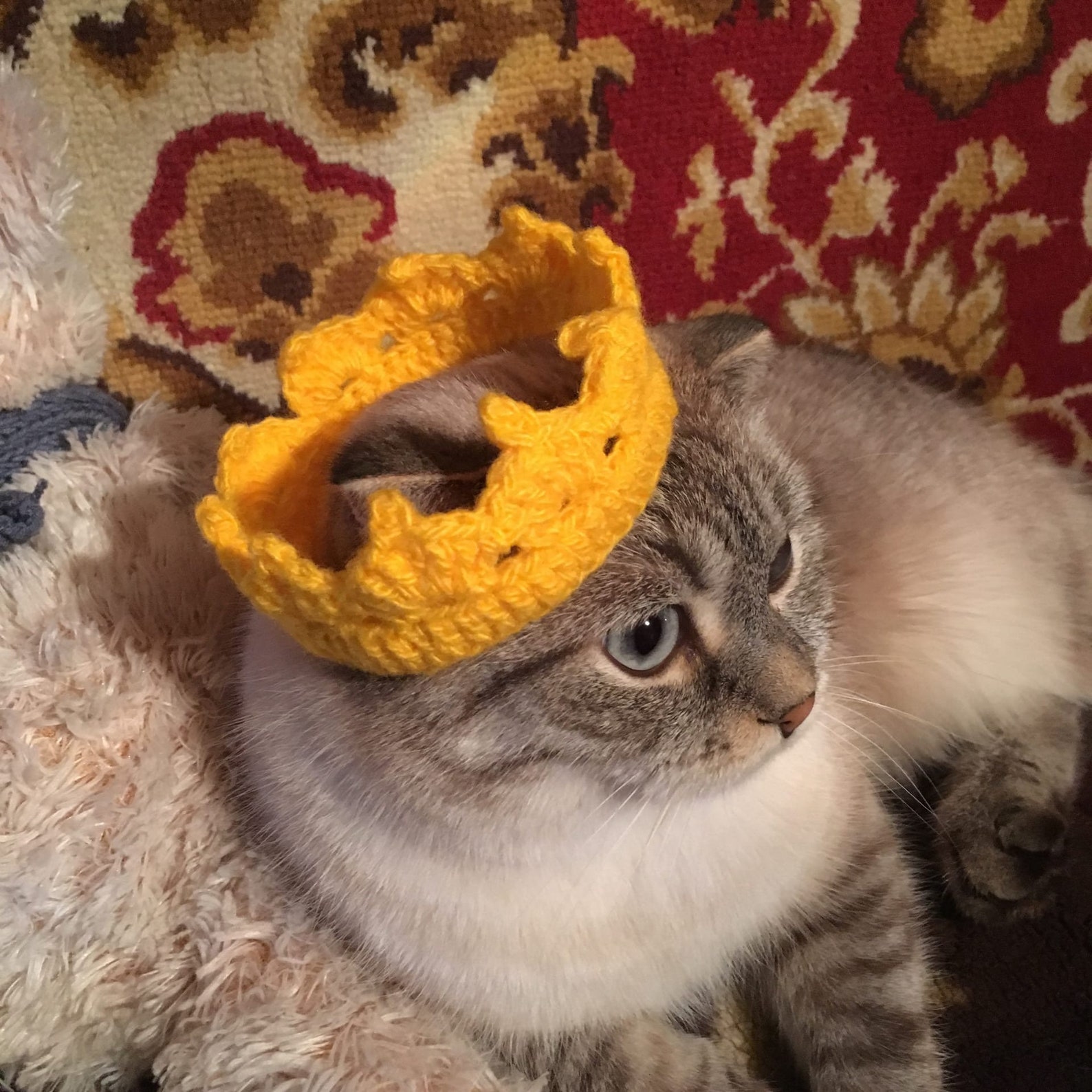 Spiked Cat Collar Collar Pet Gift Crochet Cat and Dog Collar Etsy