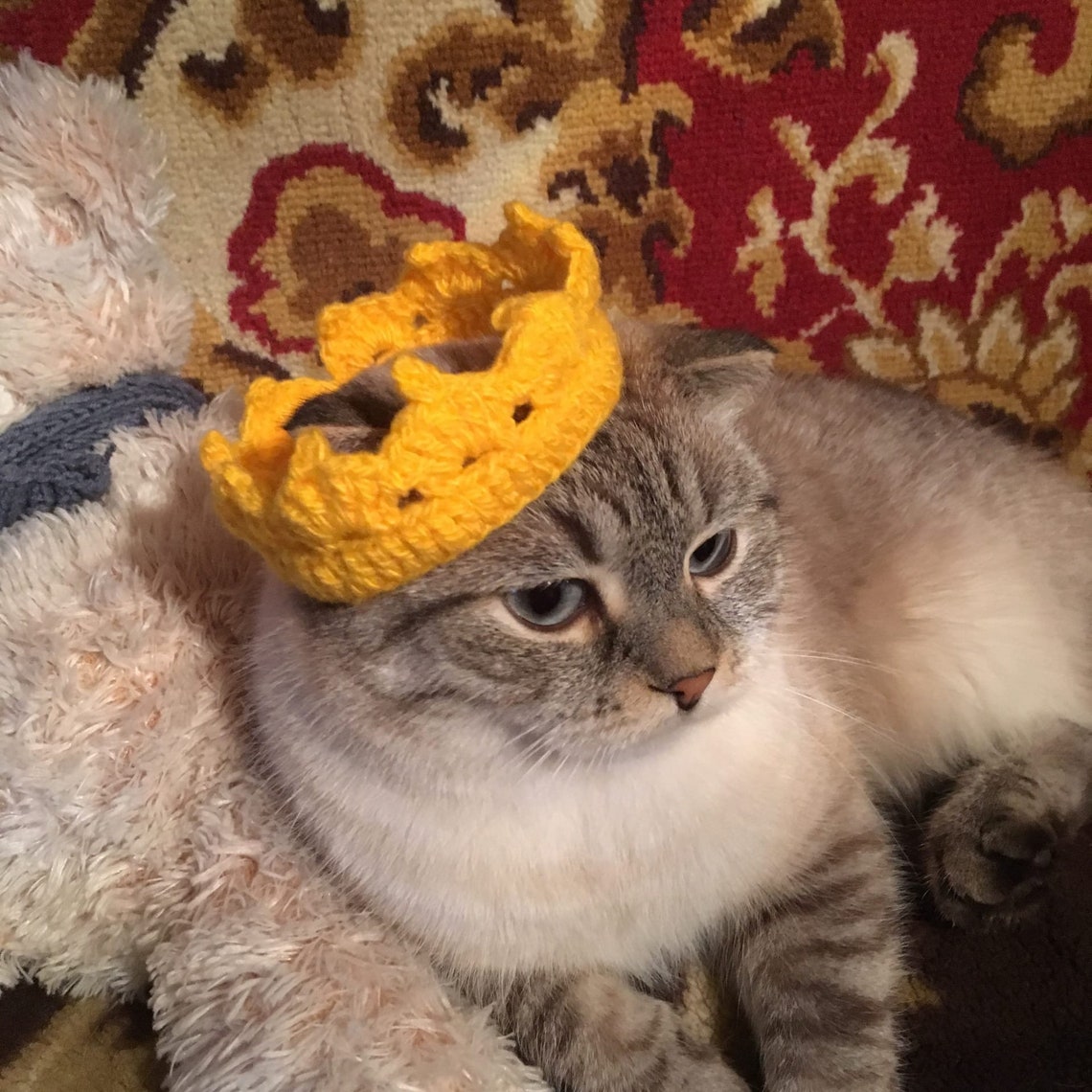 Spiked Cat Collar Collar Pet Gift Crochet Cat and Dog Collar Etsy