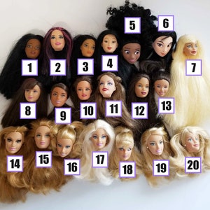 Puede incluir: Una colección de cabezas de muñecas con varios peinados y tonos de piel. Las cabezas tienen diferentes rasgos faciales y colores de cabello, incluyendo negro, marrón, rubio y rojo. Algunas cabezas tienen pelo largo, otras estilos más cortos.