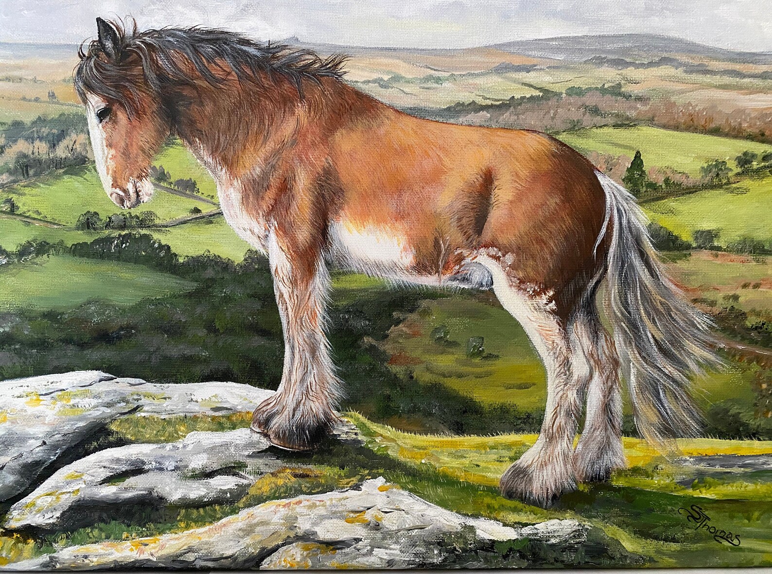 Clydesdale Horse/ Original Acrylic Painting on Stretch Canvas/dartmoor
