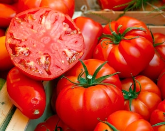 Tomatenbiefstukzaden - biologisch, erfstuk, open bestoven, niet-ggo-vrij - binnen en buiten kweken, potten, kweekbedden, hydrocultuur, aquacultuur