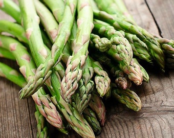 Asparagus Seeds - Organic, Heirloom, Open Pollinated, Non GMO - Grow Indoors, Outdoors, In Pots, Grow Beds, Soil, Hydroponics & Aquaponics