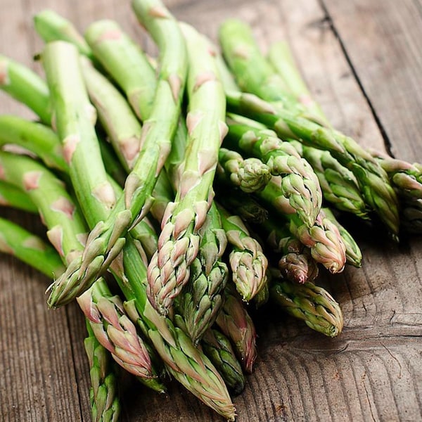Asparagus Seeds - Organic, Heirloom, Open Pollinated, Non GMO - Grow Indoors, Outdoors, In Pots, Grow Beds, Soil, Hydroponics & Aquaponics