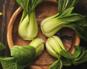 Semi biologici Baby Bok Choy - Cimelio, impollinati apertamente, non OGM - Coltivazione indoor, all'aperto, in vasi, letti di coltivazione, suolo, coltura idroponica e acquaponica