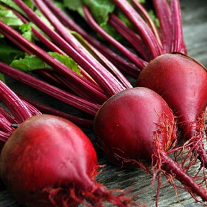 Red Beet Organic Seeds - Heirloom, Open Pollinated, Non GMO - Grow Indoors, Outdoors, In Pots, Grow Beds, Soil, Hydroponics & Aquaponics