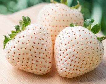 White Strawberry Organic Seeds - Heirloom, Non GMO - Grow Indoors, Outdoors, In Pots, Grow Beds, Soil, Hydroponics & Aquaponics