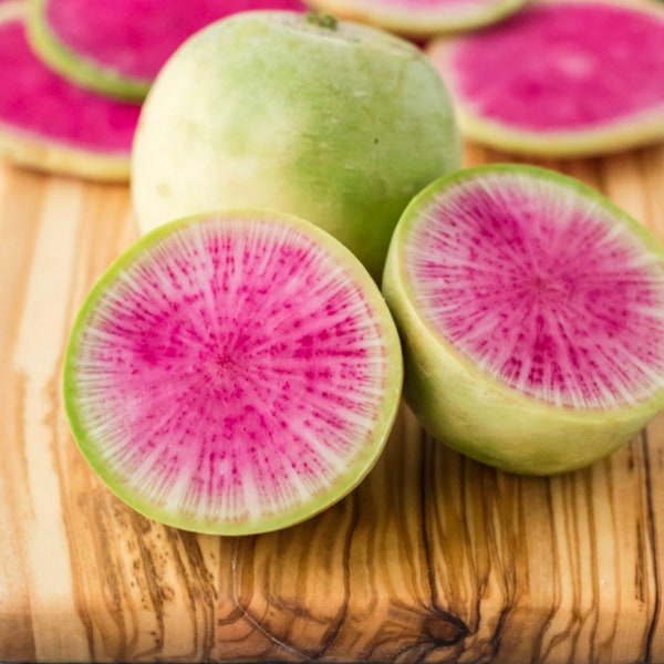 Radish Watermelon Organic Seeds - Heirloom, Non GMO - Grow Indoors, Outdoors, In Pots, Grow Beds, Soil, Hydroponics & Aquaponics