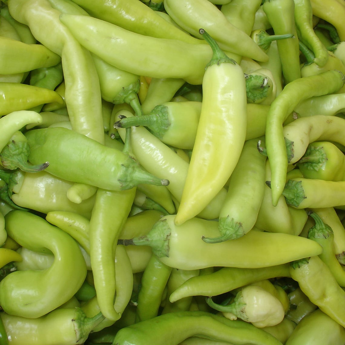 Pepper Sweet Banana Organic Seeds Heirloom Open Pollinated Etsy