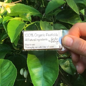 Deluxe Organic Garden Seed Kit - Heirloom, Non GMO Healthy Seeds image 10