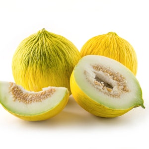Casaba Melon Seeds - Organic, Heirloom, Open Pollinated, Non GMO - Grow Indoors, Outdoors, In Pots, Grow Beds, Hydroponics & Aquaponics