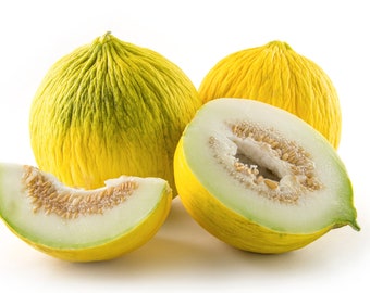 Puede incluir: Imagen de naturaleza muerta de varios melones amarillos maduros, uno cortado para revelar la pulpa verde pálida y las semillas. También se ve una sola rodaja de melón. Los melones tienen una cáscara texturizada y están sobre un fondo blanco.
