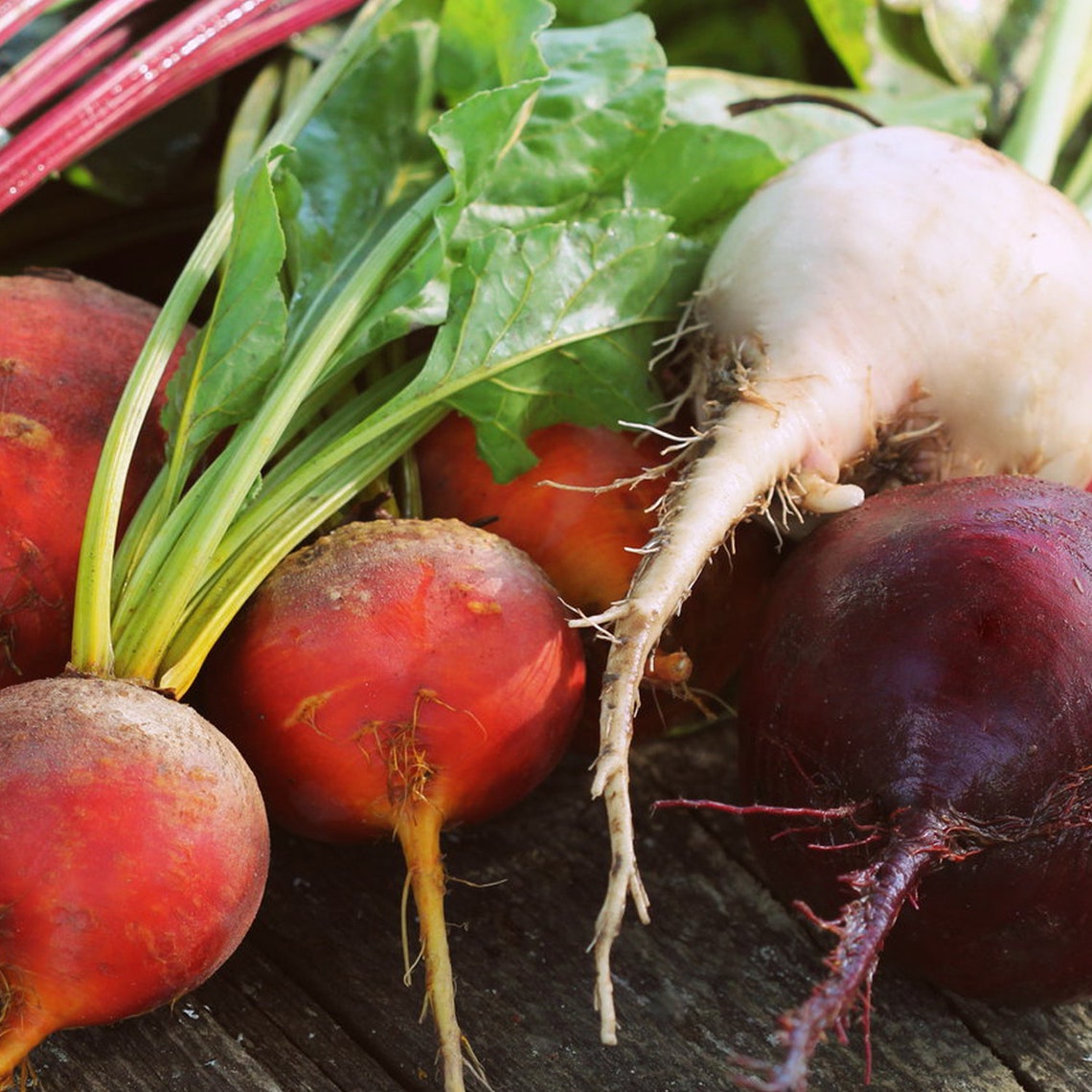 Colorful Beets Organic Seeds Heirloom Open Pollinated Non Etsy