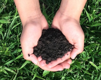 Biochar Organic Fertilizer 1 lb - 100% Organic Fertilizer - For Indoors, Outdoors, In Pots, Grow Beds, Soil, Hydroponics & Aquaponics