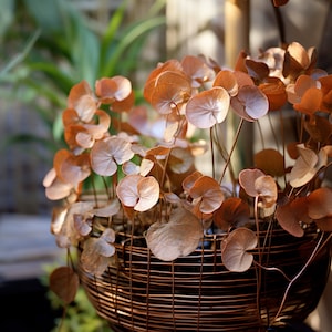 Op de afbeelding: Een mand van koperdraad gevuld met gedroogde bruine bladeren. De bladeren zijn in een cirkelvormige opstelling geplaatst en hebben een delicate, bijna doorschijnende kwaliteit.