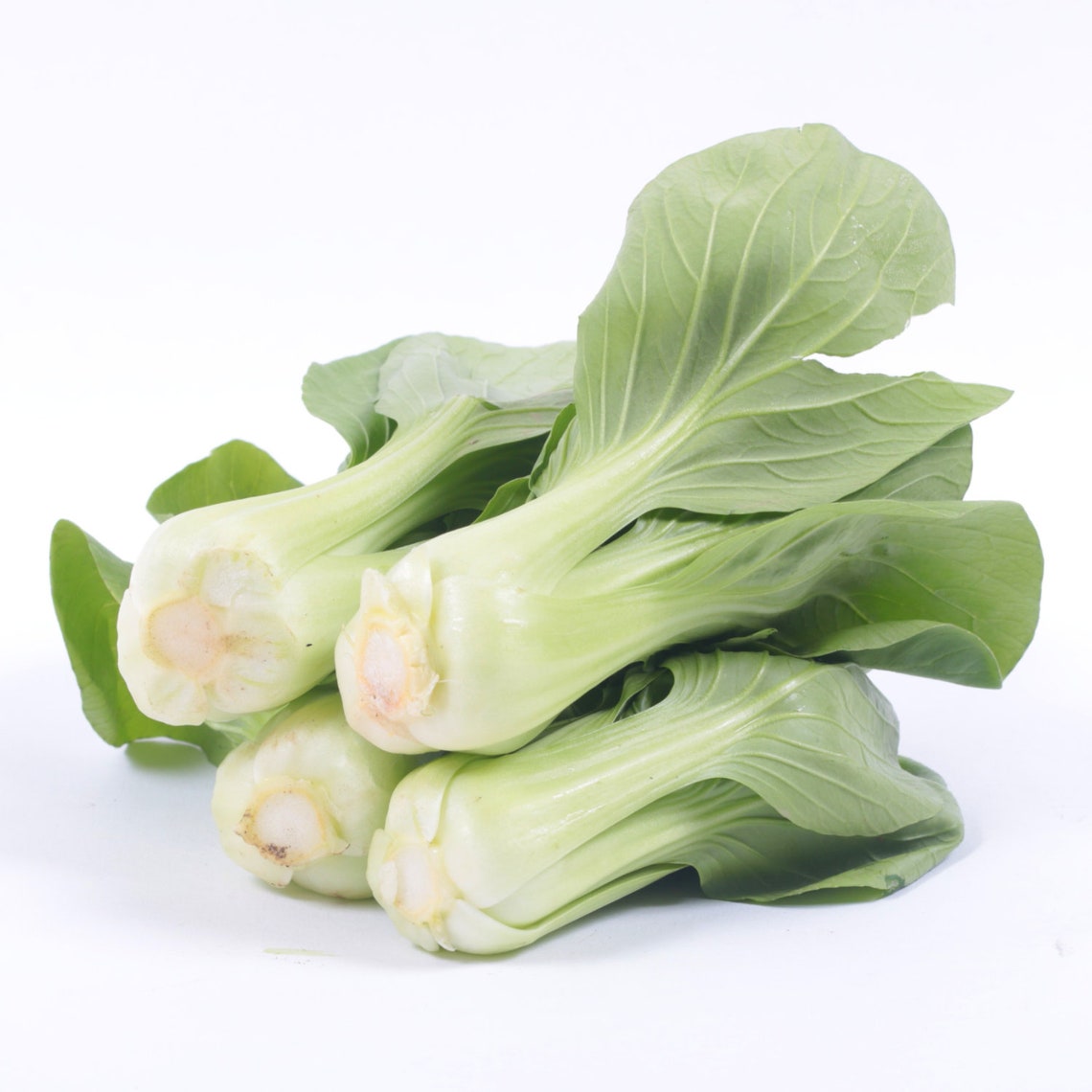 Baby Bok Choy Organic Seeds Heirloom Open Pollinated Non Etsy