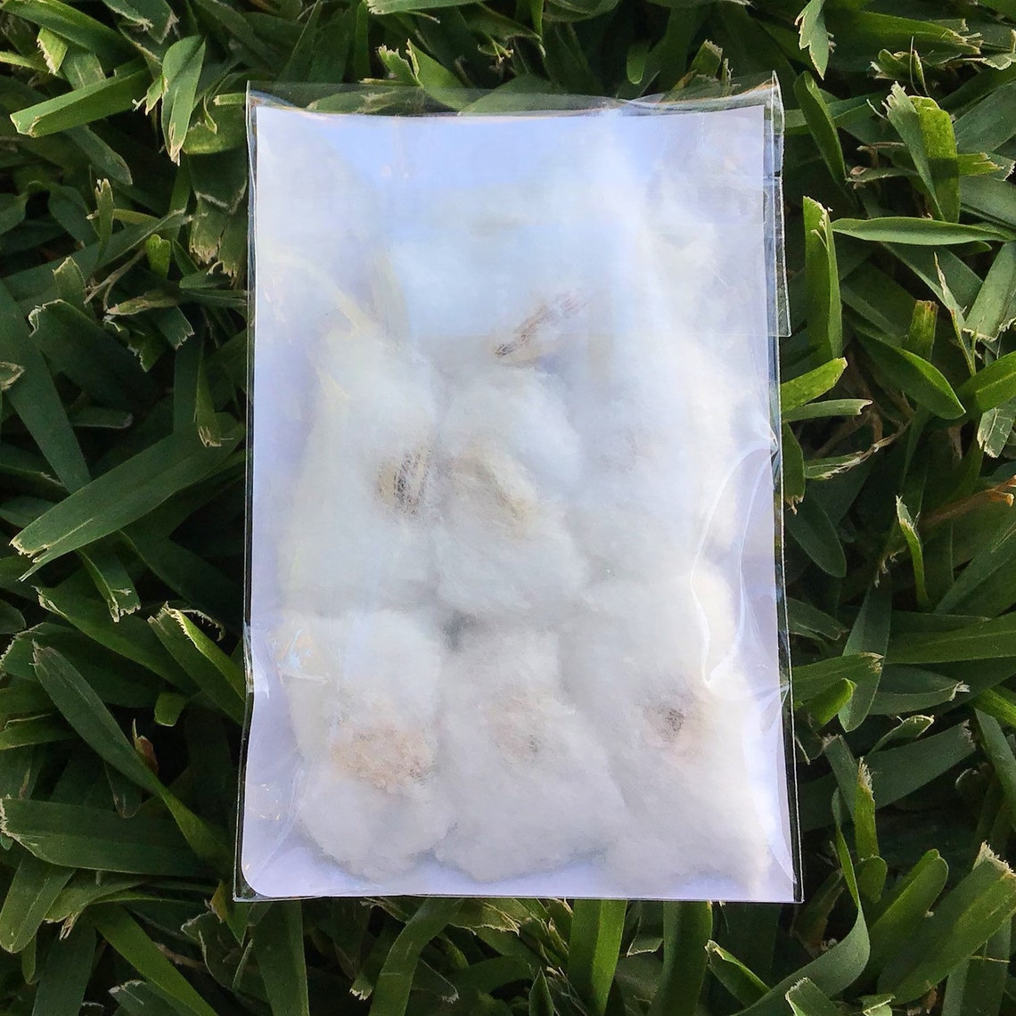 Grow Baggie Ready to Go Fast Germination Seed Kit Includes | Etsy