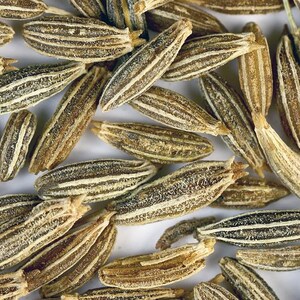 May include: Close-up of a pile of brown cumin seeds. The seeds are long and narrow with a slightly curved shape. They have a rough, textured surface.