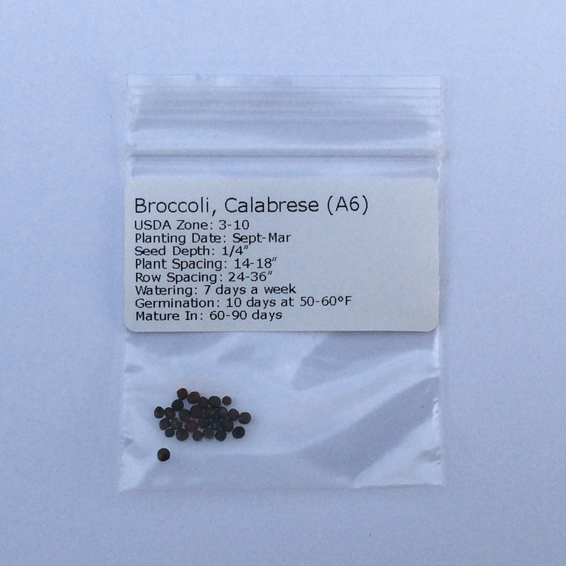 Brokkolisamen - Organisch, Erbstück, offen bestäubt, nicht GMO - wachsen drinnen, draußen, in Töpfen, Zuchtbeeten, Erde, Hydroponik und Aquaponik Bild 6