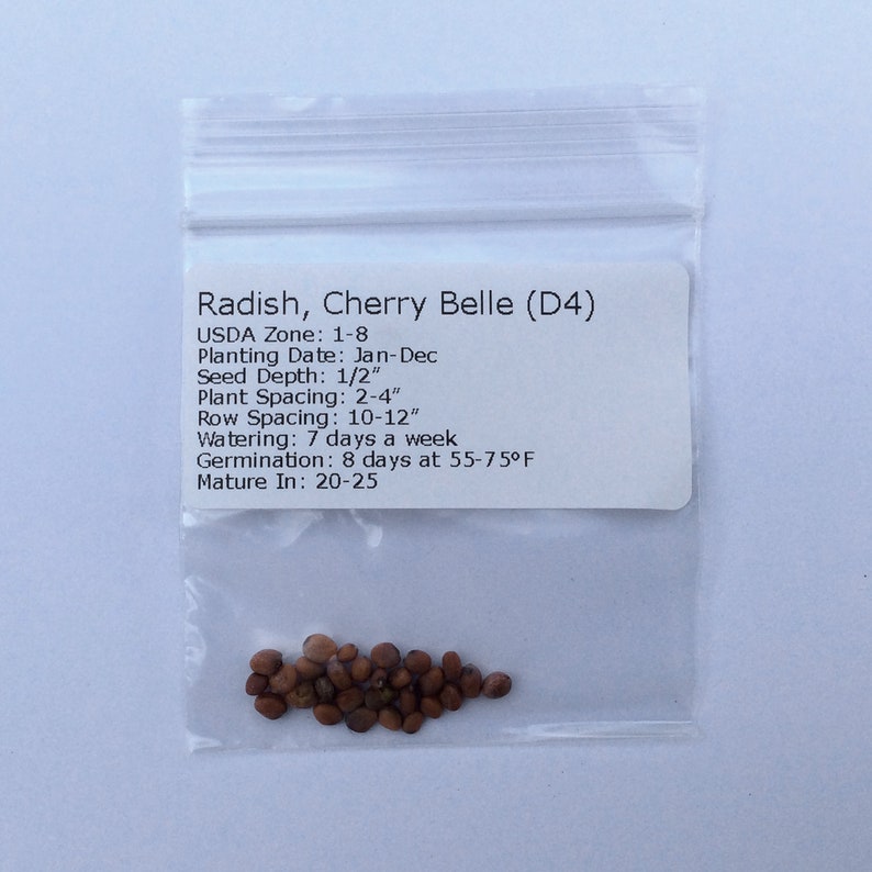 Op de afbeelding: Een klein zakje Cherry Belle radijszaad. Het zakje bevat instructies voor het zaaien, de zaaidiepte, de afstand, het water geven, de kieming en de rijpheid. USDA-zone: 1-8. Zaaiperiode: jan.-dec. Zaaidiepte: 1/2 inch. Plantafstand: 2-4 inch. Rijafstand: 10-12 inch. Water geven: 7 dagen per week. Kieming: 8 dagen bij 55-75 graden Fahrenheit. Rijpheid: 20-25 dagen.