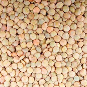 May include: A close-up image of a large quantity of green and brown lentils. The lentils are arranged in a random pattern, creating a textured background.