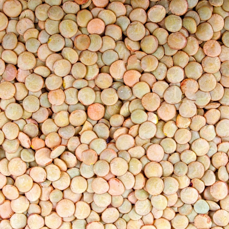 May include: A close-up image of a large quantity of green and brown lentils. The lentils are arranged in a random pattern, creating a textured background.