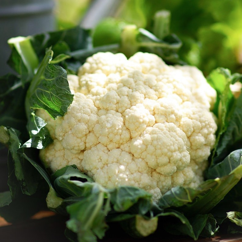 Puede incluir: Un coliflor blanco fresco con hojas verdes. La coliflor es una verdura popular que se utiliza en muchos platos.