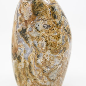 Ocean Jasper Free Form