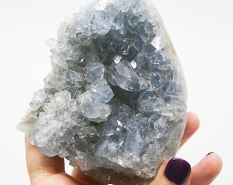 May include: A large, light blue celestite crystal cluster with a rough, natural texture. The crystal is composed of many small, pointed crystals that form a cluster.