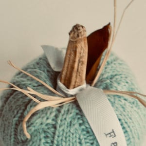 NEU! Hand gestrickt Blau Zopfmuster Kürbis mit Clay Stiel
