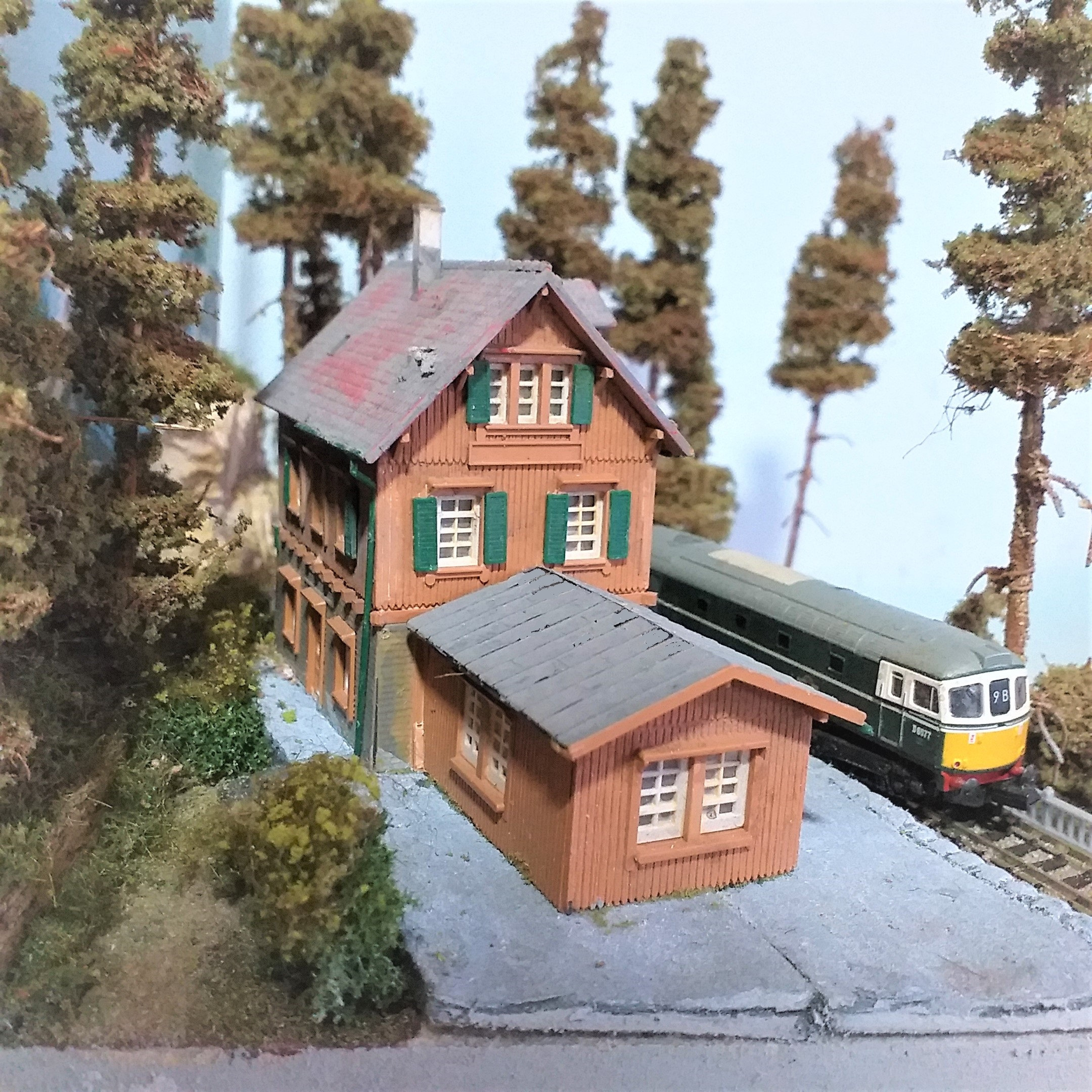 gallery photo