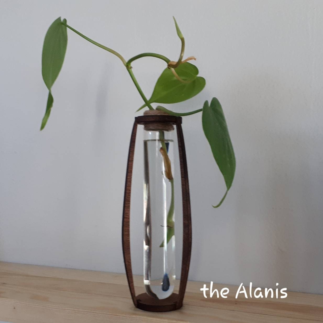 Simplistic Propagation Station Vials Etsy