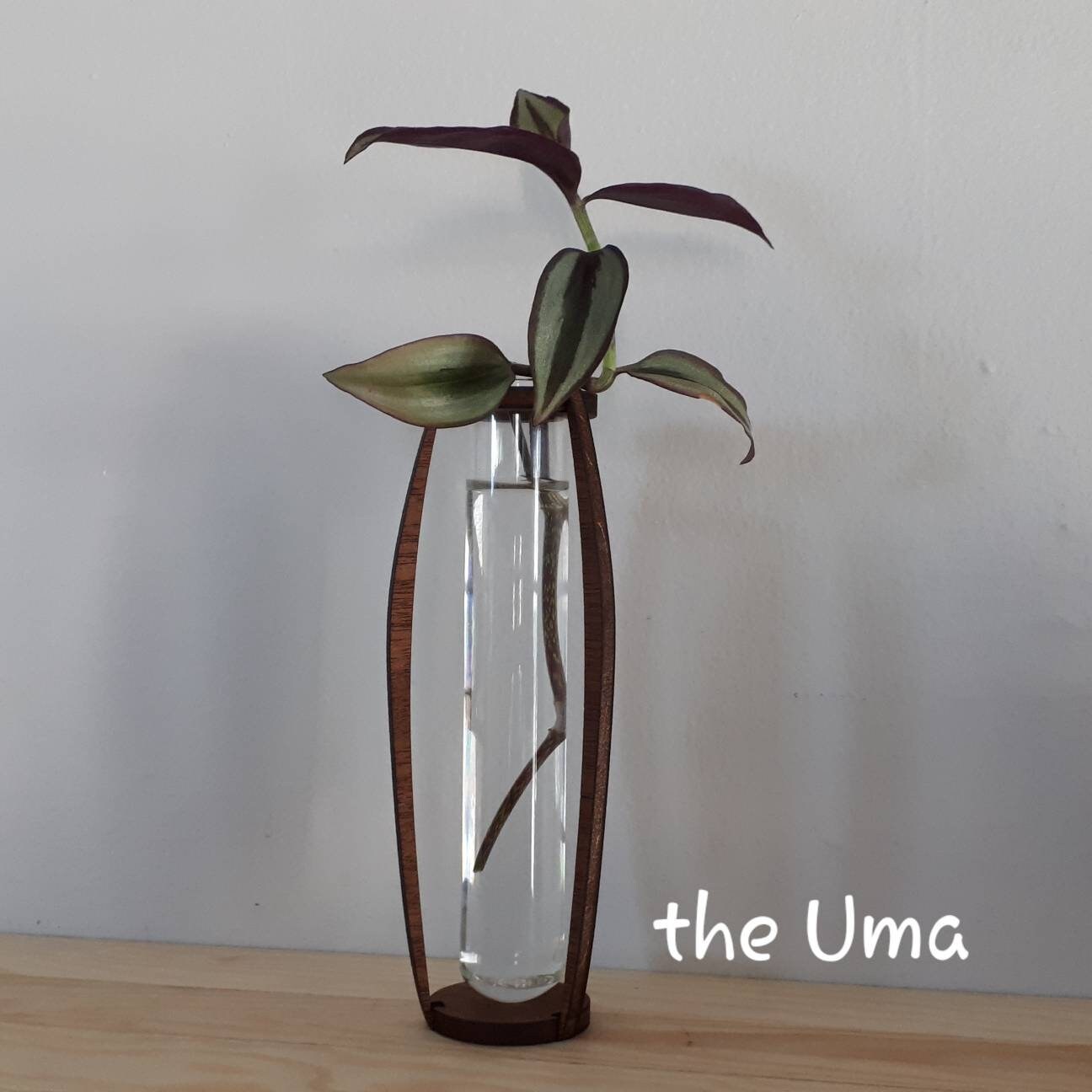 Simplistic Propagation Station Vials Etsy