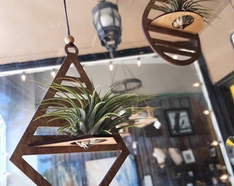 Wooden Hanging Air Plant Holder