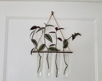 Hanging Propagation Station or Bud Vase Wood holder with glass vials and twine