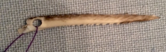 6 Hand Drilled Saltwater Hardhead Catfish Spines Native Etsy 6 Hand Drilled Saltwater Hardhead Catfish Spines Native Etsy