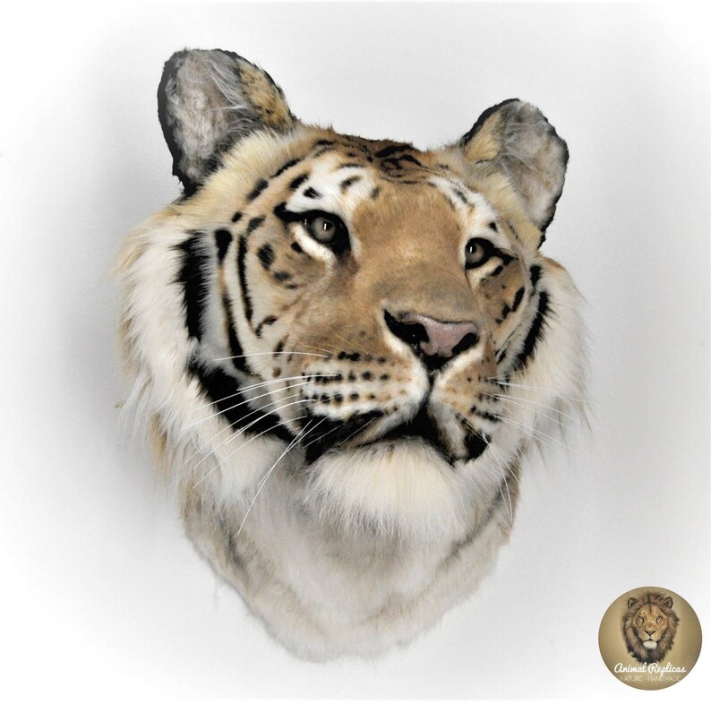 Reproduction Tiger Head Taxidermy Mount Etsy