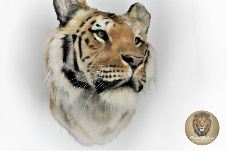 Reproduction Tiger Head Faux Taxidermy Mount Etsy