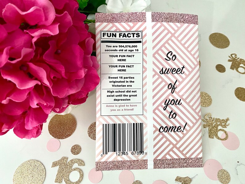 Sweet 16 Chip Bags Sweet Sixteen Party Favor Sweet 16 Party Etsy