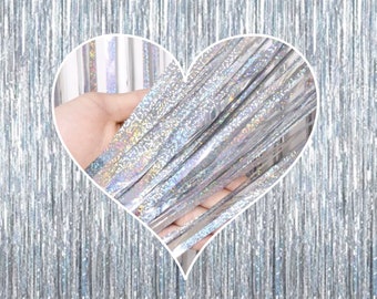 Silver Bachelorette Party Foil Curtains, Birthday Photo Backdrop, Hen Party Backdrop, Bridal Shower Metallic Fringe Tinsel, Disco Backdrop