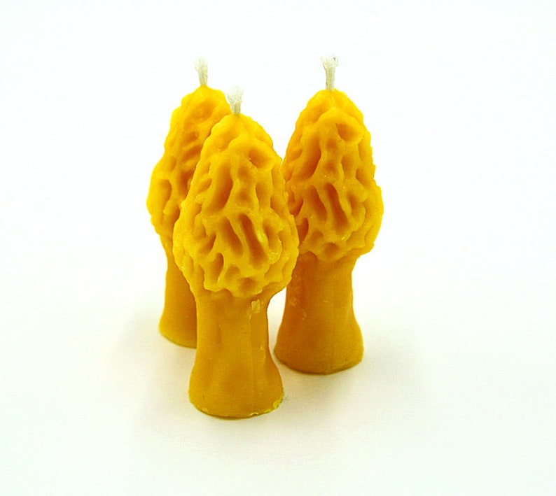 1 Candle Per Order Morel Candle