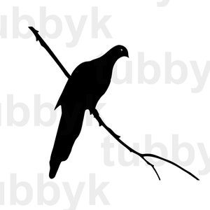 Brown Cuckoo Dove SVG, Bird SVG, SVG File, svg, Branch svg, Animal svg, Silhouette, Cricut, Cut File, Cutting File, Clip Art, Vector
